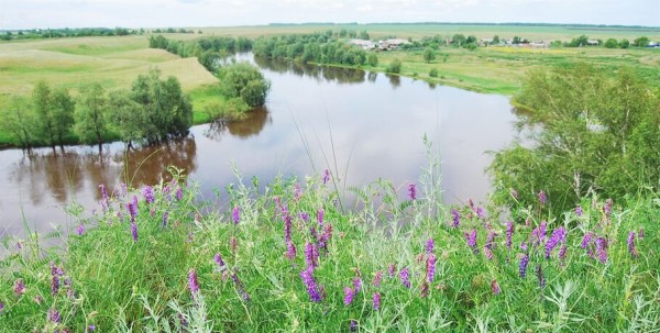 Роспотребнадзор рекомендует: как безопасно отдохнуть на природе