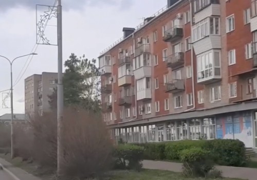 В Омске на Иртышской набережной массово погибли деревья