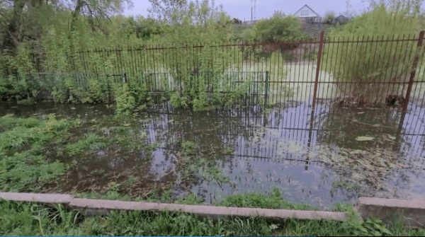 Вода подходит к клеткам с мишками в Большереченском зоопарке