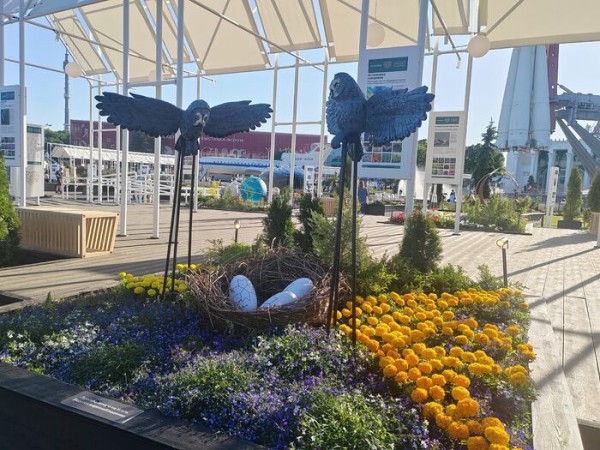 Омский ландшафт на ВДНХ: кровохлёбка, щучка и сосна Омский ландшафт на ВДНХ: кровохлёбка, щучка и сосна