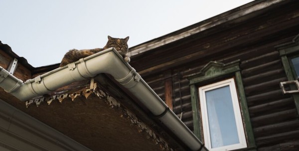 Столетний дом у "Дома туриста" не сможет стать антуражем Мокринского форштадта Столетний дом у "Дома туриста" не сможет стать антуражем Мокринского форштадта