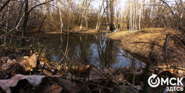 Путешествие в озёрный край: на "Зелёном острове" появились незапланированные водоёмы