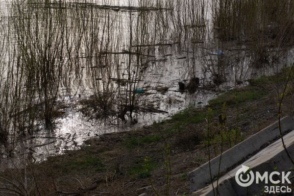 Путешествие в озёрный край: на "Зелёном острове" появились незапланированные водоёмы