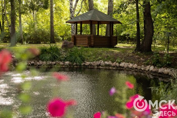 Бузина, барбарис и магония. Омский дендросад зацвёл