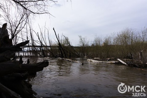 Путешествие в озёрный край: на "Зелёном острове" появились незапланированные водоёмы
