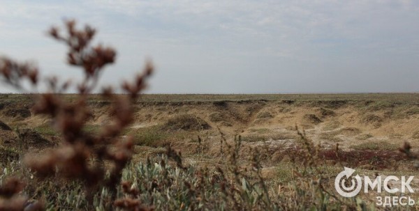 Ежегодный ультрамарафон SoloRace-2024 пройдёт в новой локации