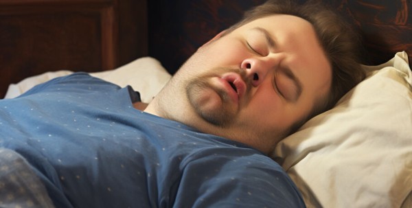 Кошачья забастовка и межгалактический портал. Почему летом становится больше прогульщиков