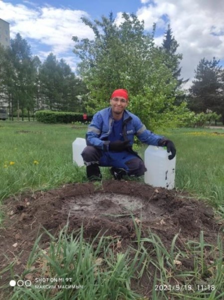 В Омске во время покоса травы погибли и молоденькие дубки