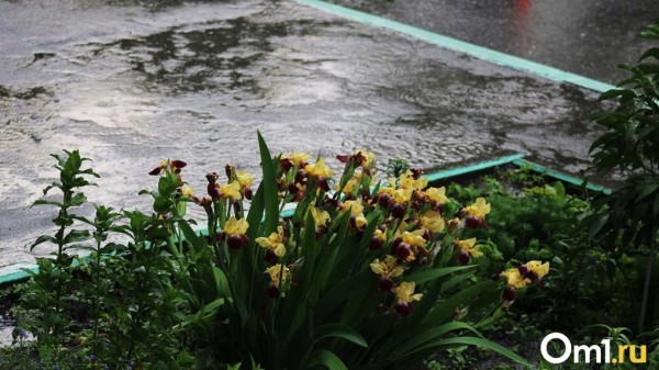 Крупный град, ливень и шквалистый ветер: к Омску приближается буря