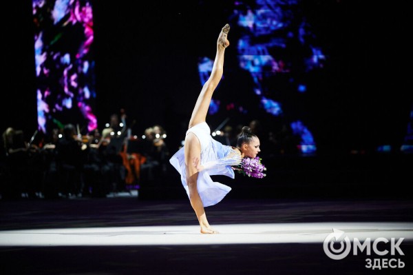 Энергия гимнасток. В Омске в третий раз прошёл Международный турнир EVGENIYA CUP-2024 Энергия гимнасток. В Омске в третий раз прошёл Международный турнир EVGENIYA CUP-2024