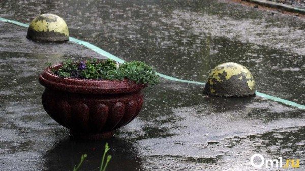 Жителей Омской области предупредили о надвигающемся мощном шторме