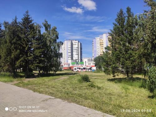 В Омске во время покоса травы погибли и молоденькие дубки