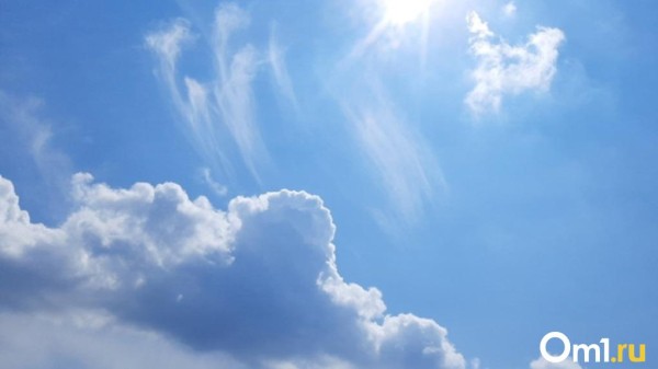 Почти без дождя: омичам пообещали неделю настоящего лета