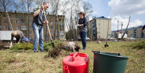 У омских семей могут появиться именные деревья на "Зелёном острове"