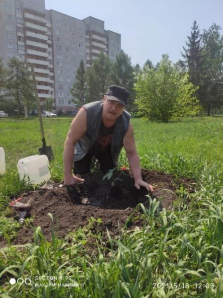В Омске во время покоса травы погибли и молоденькие дубки