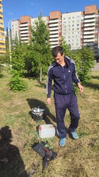 В Омске во время покоса травы погибли и молоденькие дубки