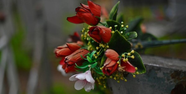 В Омске собирают средства на памятник известному учёному