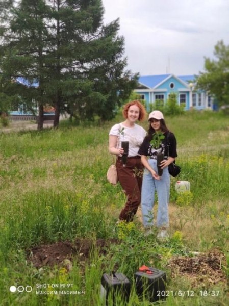 В Омске во время покоса травы погибли и молоденькие дубки