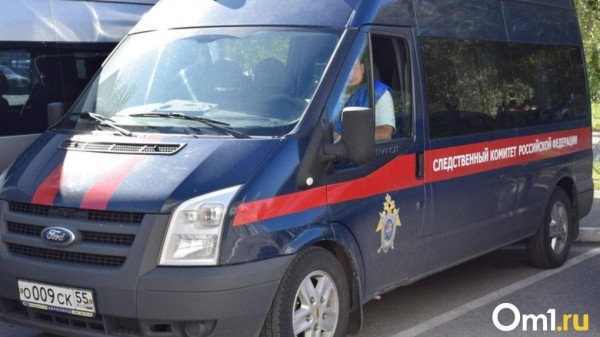 Бастрыкин поручил ускорить разбирательство в деле о смерти годовалой омички