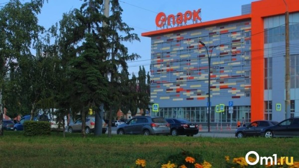 На замдиректора омского депимущества завели уголовное дело из-за стройки в парке