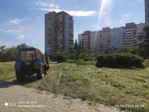 В Омске во время покоса травы погибли и молоденькие дубки