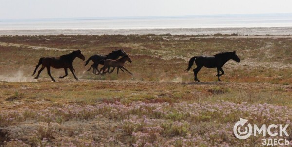 Перезагрузить нервную систему. В чём польза мини-путешествий