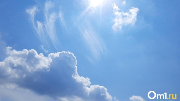 Роман Вильфанд объявил, что в Омскую область идёт опасная волна тепла