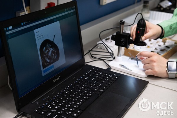 "Пед - это про людей": как прошла первая университетская ночь ОмГПУ