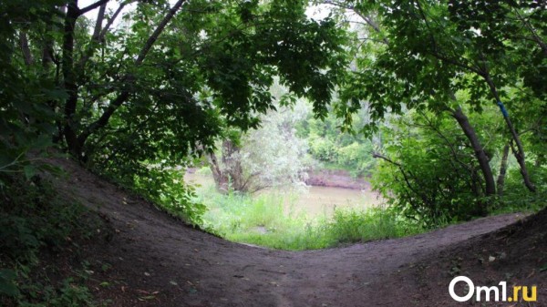 Опубликованы предварительные данные о смерти в Омске девочки из Москвы Опубликованы предварительные данные о смерти в Омске девочки из Москвы