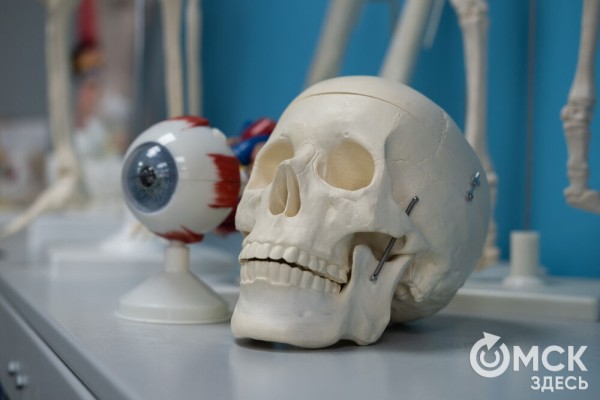 "Пед - это про людей": как прошла первая университетская ночь ОмГПУ