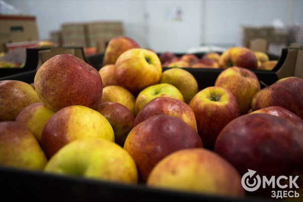 Как найти в омских магазинах самые вкусные овощи и фрукты Как найти в омских магазинах самые вкусные овощи и фрукты