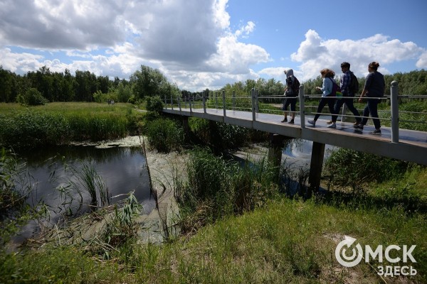Борьба за прохладу: спасение от жары в городе и за его пределами
