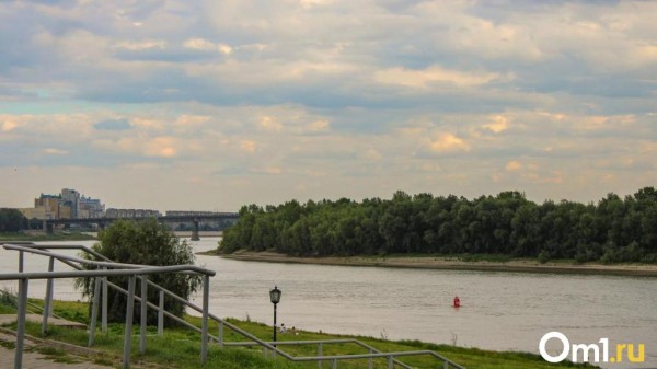 Собаки взяли след потерявшейся в Омске школьницы. И привели к Иртышу