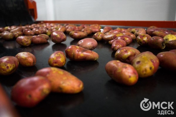 Как найти в омских магазинах самые вкусные овощи и фрукты Как найти в омских магазинах самые вкусные овощи и фрукты