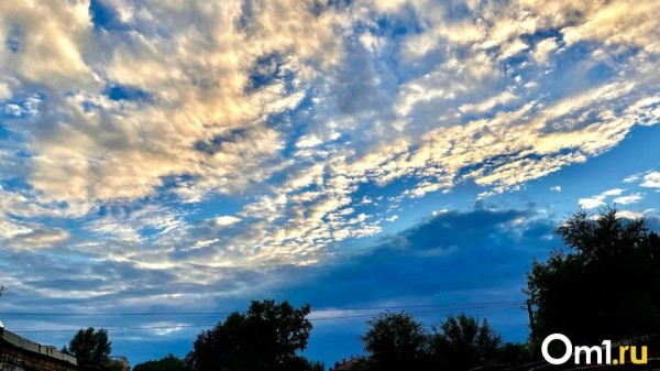 В МЧС выпустили предупреждение о двухдневных ливнях в Омске