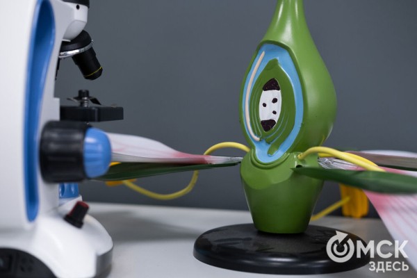 "Пед - это про людей": как прошла первая университетская ночь ОмГПУ