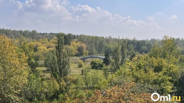 Пропавшую школьницу в последний раз видели на мосту в парке Победы