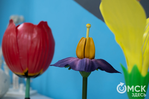 "Пед - это про людей": как прошла первая университетская ночь ОмГПУ