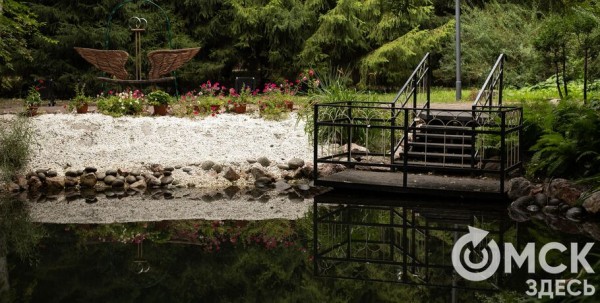 Чудо природы. В Омске зацвело одно из самых древних растений