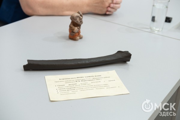 Омский кроманьонец Николай: кость древнейшего сибиряка поможет местному туризму