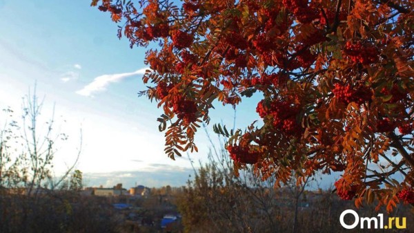 На День города в Омске ударит похолодание до +12 градусов