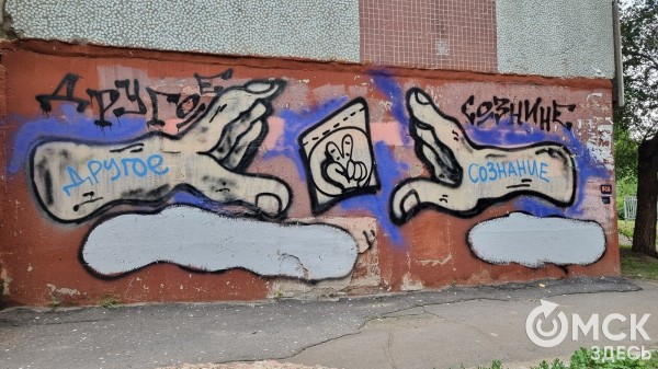 Наделало шума. Обсуждаем граффити, которое не нравится жильцам одного из домов Омска