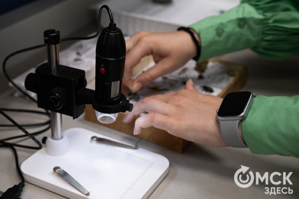 "Пед - это про людей": как прошла первая университетская ночь ОмГПУ