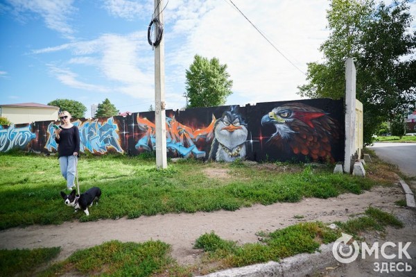 Рождение звезды и медведь внутри баллончика. Путешествуем по музею под открытым небом