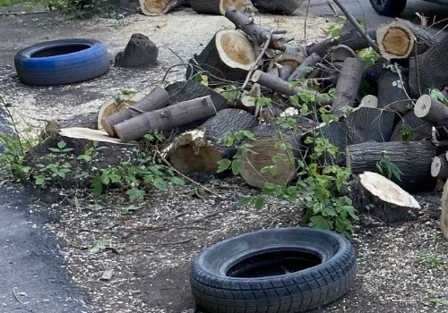 Ради стройки на Левом берегу надо убрать порядка 200 деревьев, но не получается