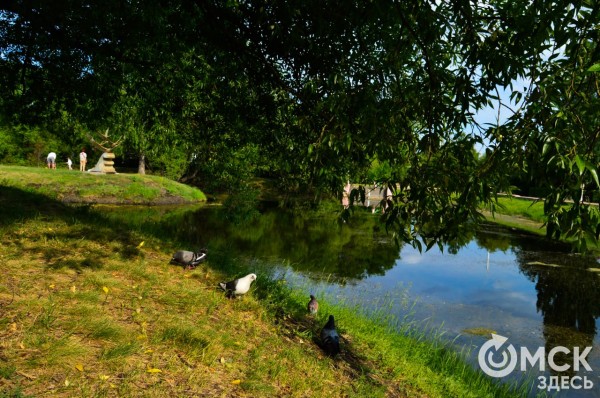 Приятная прохлада: где в Омске прогуляться у воды