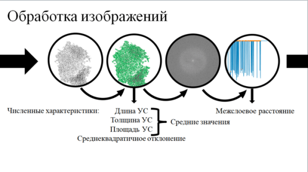 Молодой наноинженер из Омска автоматизировал и ускорил оценку структуры техуглерода Молодой наноинженер из Омска автоматизировал и ускорил оценку структуры техуглерода