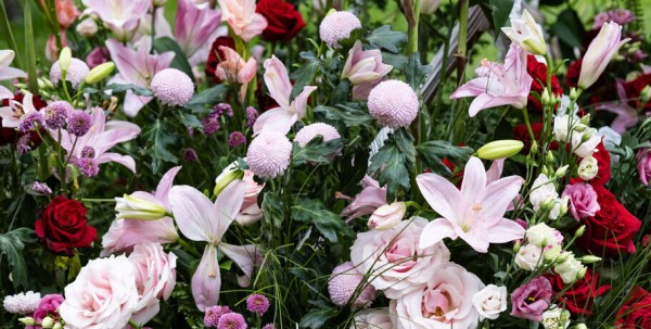 Миллион цветов на семейные истории: в Омске открылась "Флора"