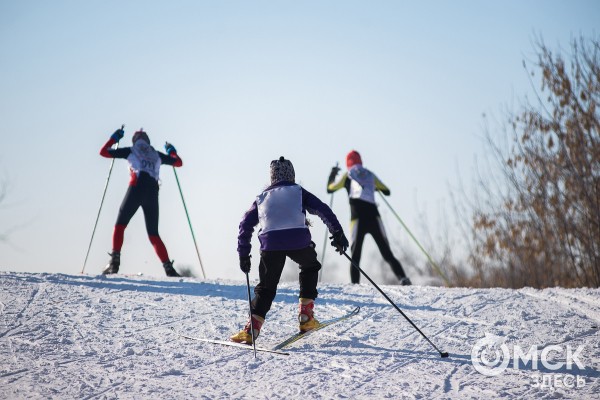 Любительский лыжный марафон проведут на севере Омской области Любительский лыжный марафон проведут на севере Омской области