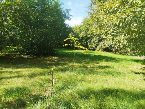 В Амурском поселке вместо снесенного кинотеатра «Сатурн» очередной забор? В Амурском поселке вместо снесенного кинотеатра «Сатурн» очередной забор?